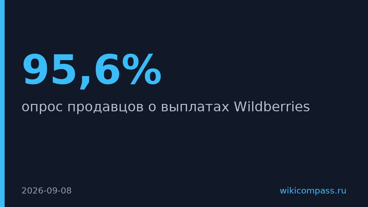 95,6% селлеров WB не получили выплаты с 17 августа