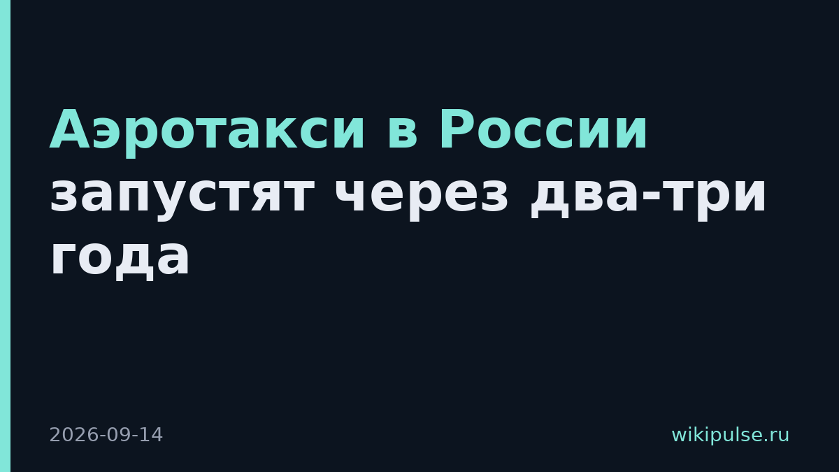 Аэротакси в России запустят через два-три года