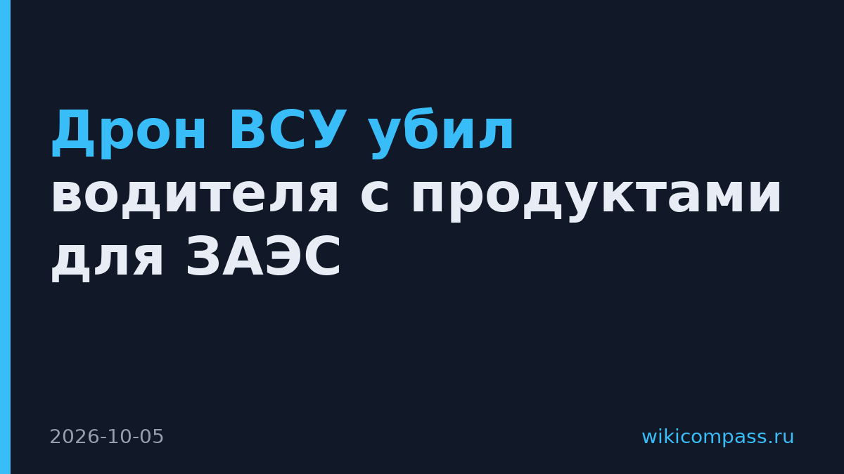 Дрон ВСУ убил водителя с продуктами для ЗАЭС