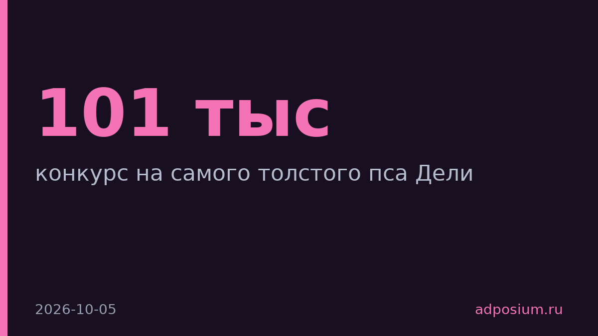 Duolingo и District раскрутили конкурс толстых псов до 101 тысячи подписчиков