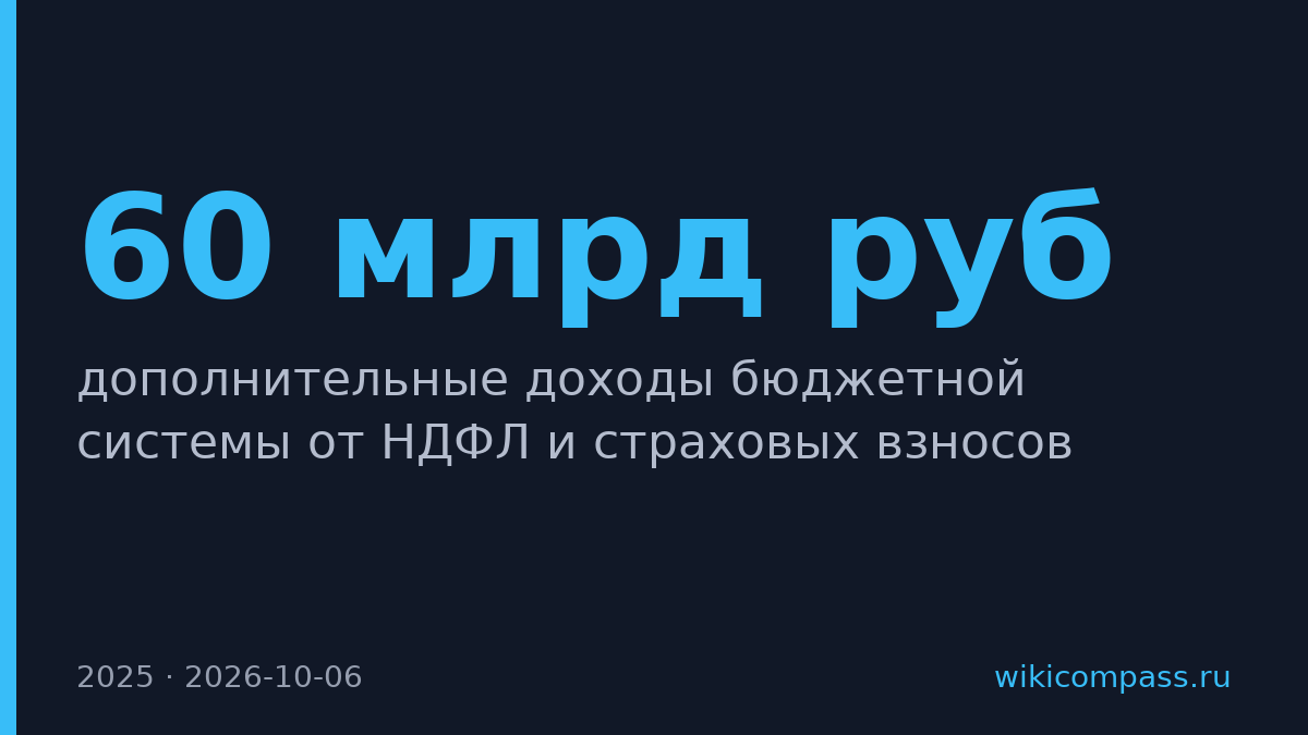 ФНС обелила теневую занятость и пополнила бюджет на 60 млрд руб