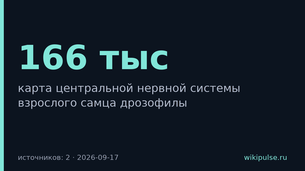 Google и HHMI Janelia картировали нервную систему дрозофилы из 166 тысяч нейронов