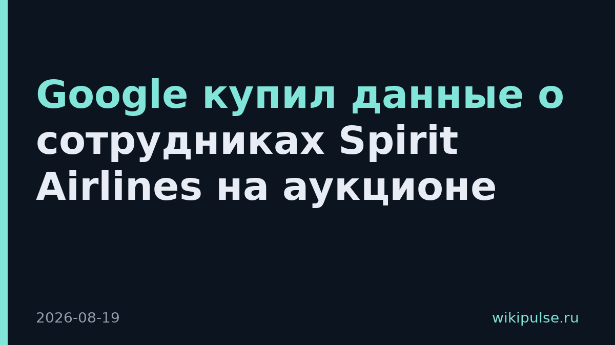 Google купил данные о сотрудниках Spirit Airlines на аукционе