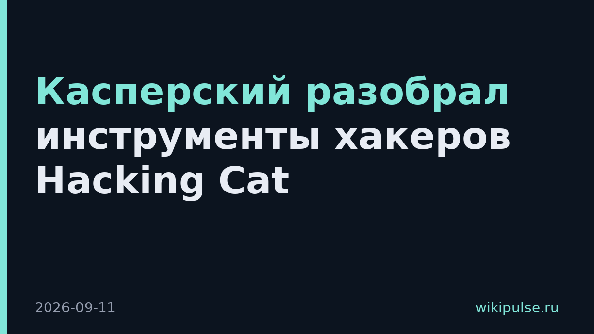 Касперский разобрал инструменты хакеров Hacking Cat