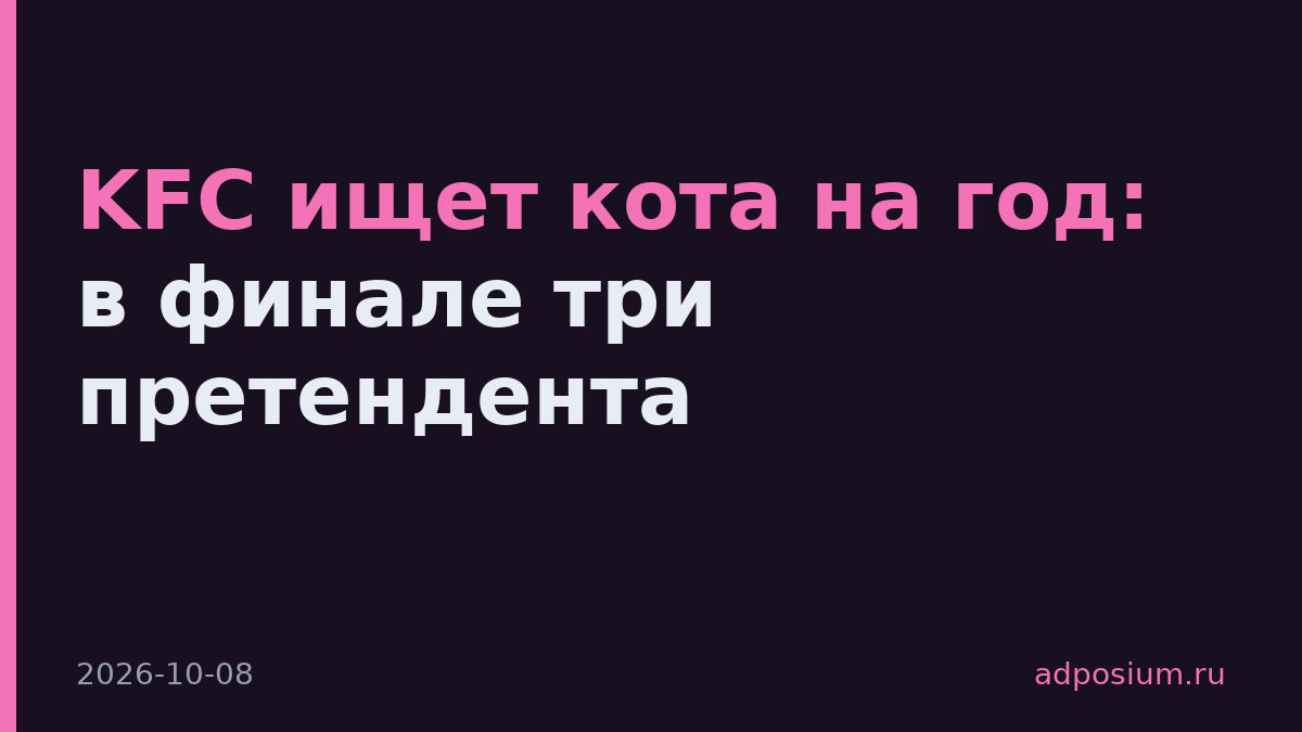 KFC ищет кота на год: в финале три претендента