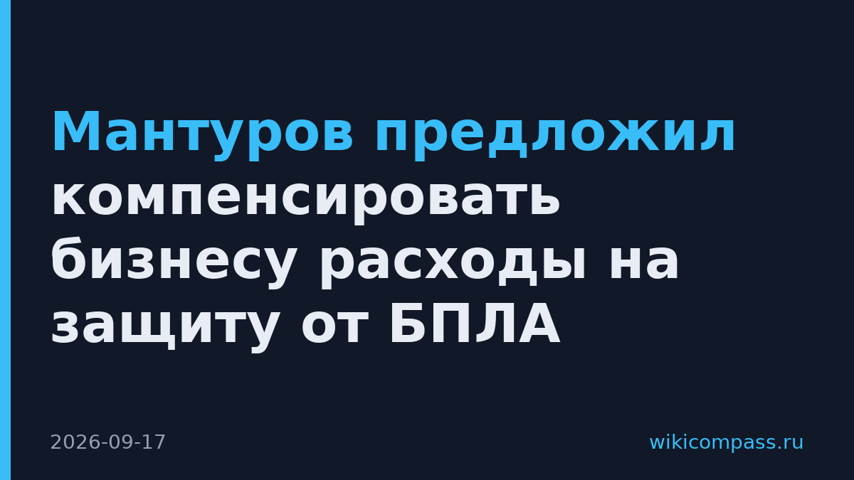 Мантуров предложил компенсировать бизнесу расходы на защиту от БПЛА