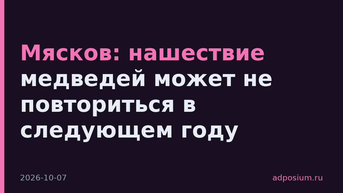 Мясков: нашествие медведей может не повториться в следующем году