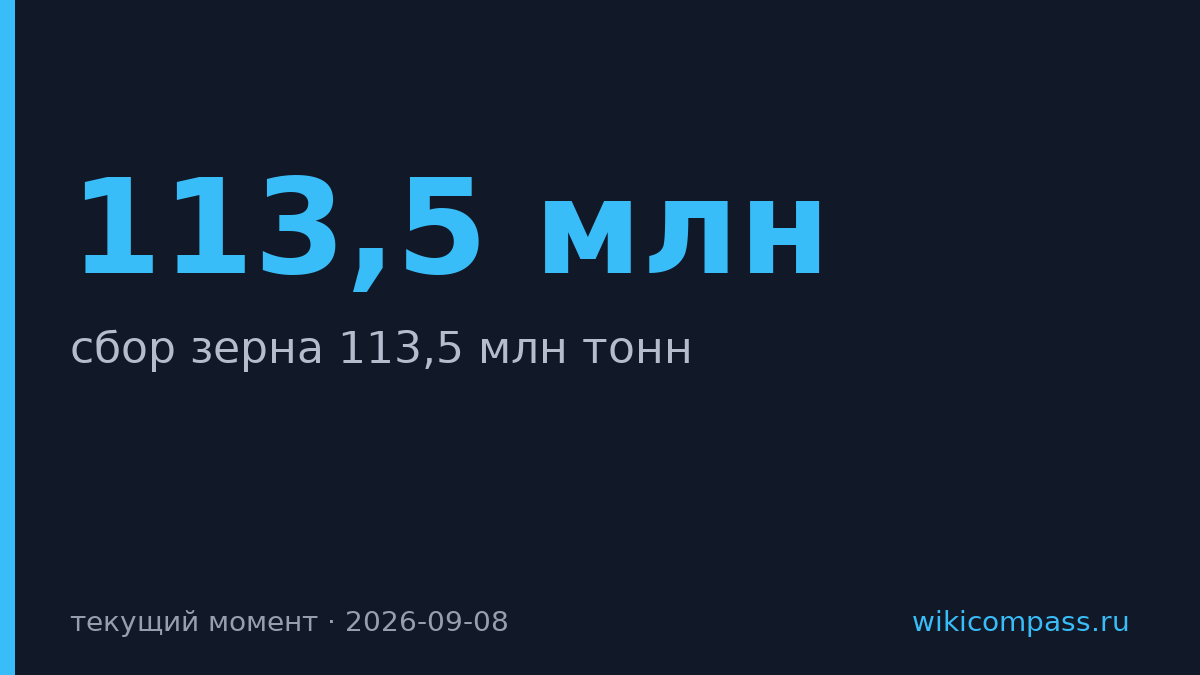 Россия собрала 113,5 млн тонн зерна, превысив прошлогодний урожай