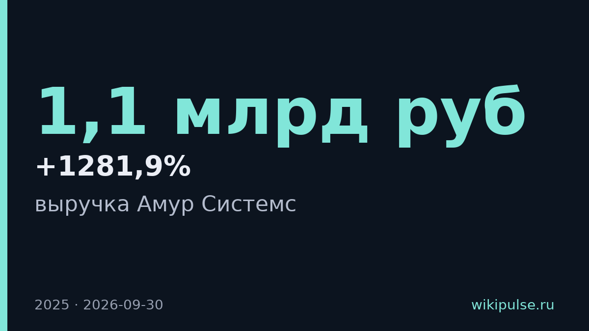Выручка Amur выросла на 1281,9% до 1,1 млрд рублей в 2025