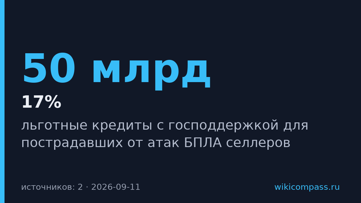 Wildberries селлерам дали 50 млрд льготных кредитов под 17%