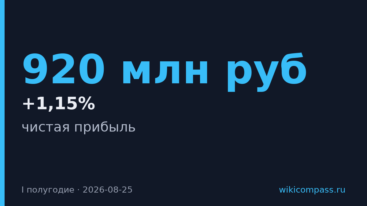Займер заработал 920 млн рублей в первом полугодии